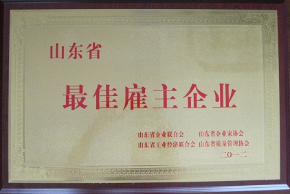 山东省最佳雇主企业